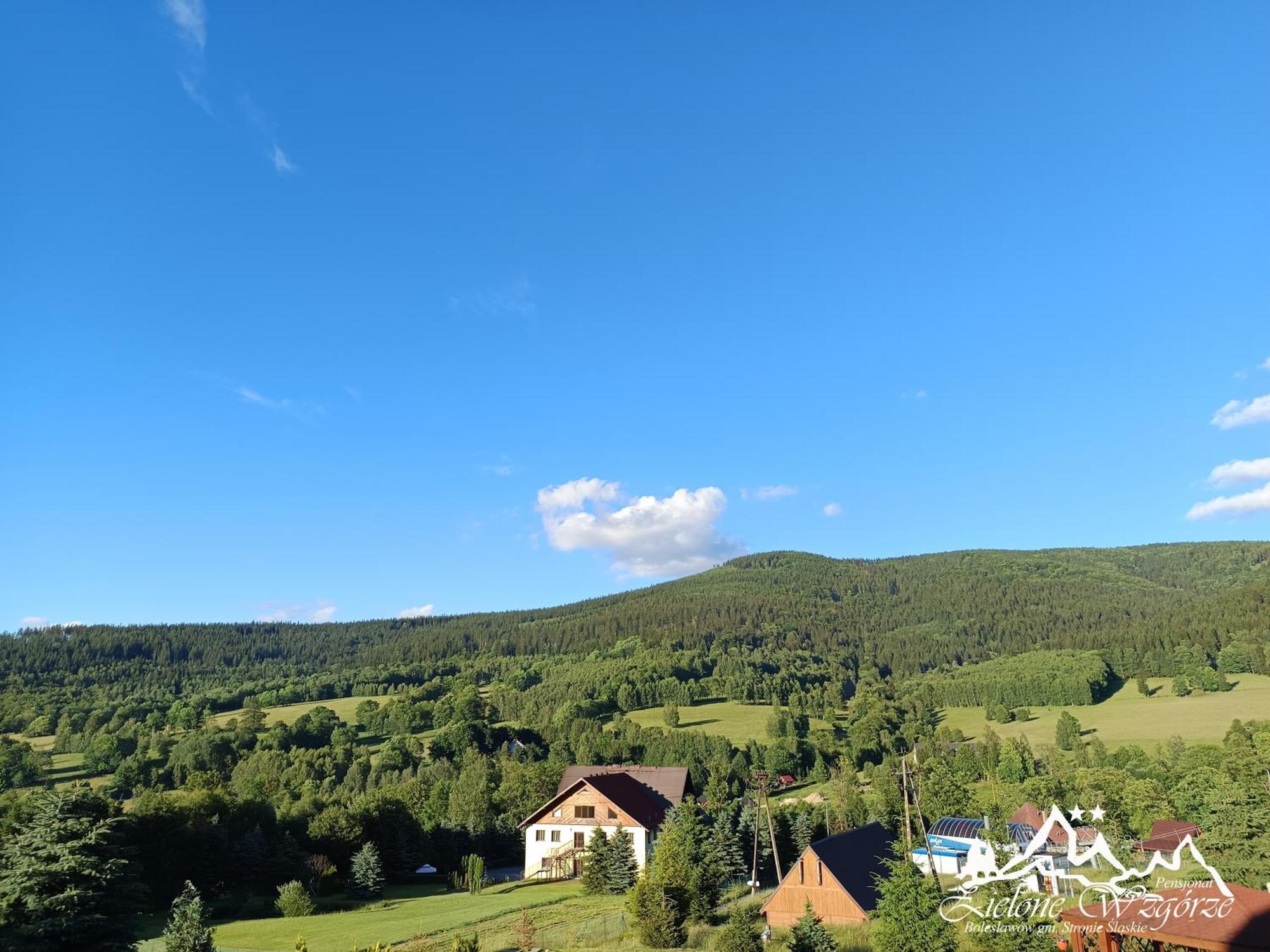Pensjonat Zielone Wzgorze W Boleslawowie Stronie Slaskie Exterior foto